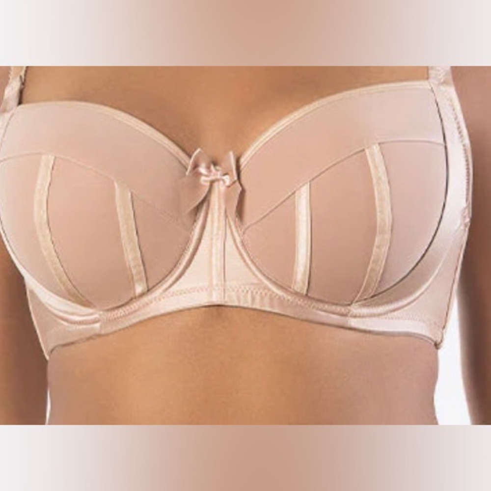 Parfait Charlotte Underwire Bra Size 34 G